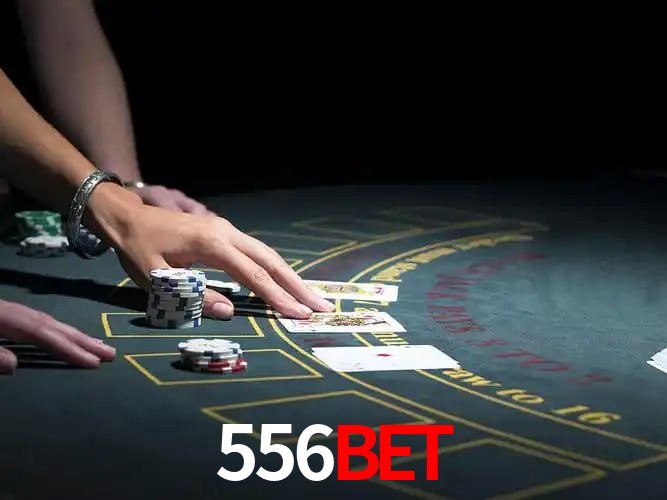 556bet