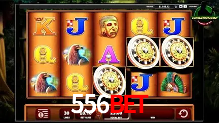 Descubra o Mundo do Cassino Online com 556bet